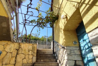 House Pazin