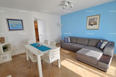 Apartment Novigrad