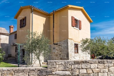 Prostrana kuća u Pazinu s velikim dvorištem i modernim dizajnom