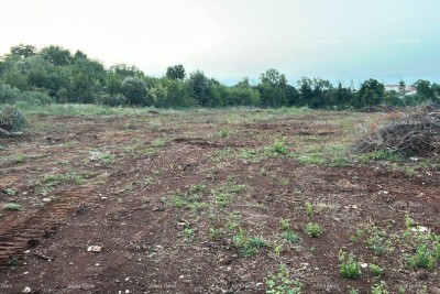 Prodaje se građevinsko zemljište, 4300m2 u industrijsko-poslovnoj zoni Šišan.