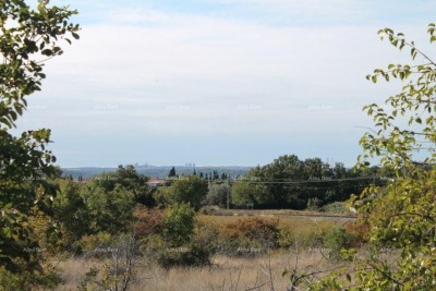 Prodaje se  poljoprivredno zemljište,  Galižana