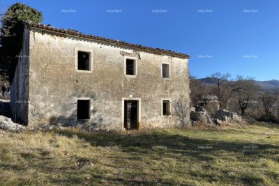 House Buzet