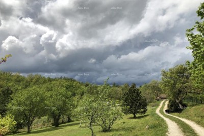 Prodaje se prekrasna stancija, okružena šumom i vinogradima, s pogledom na Gračišće i Učku!