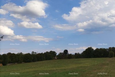 Prodaja građevinskog zemljišta, Loborika