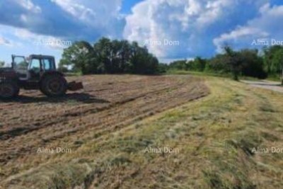 Zu verkaufen: drei Baugrundstücke und ein Landwirtschaftsgrundstück.