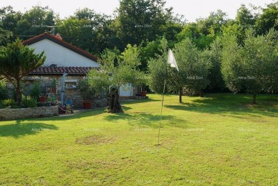 House Umag