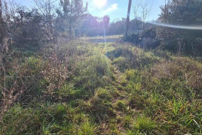 Građevinsko zemljišče Vintijan – 800 m2 – ob cesti