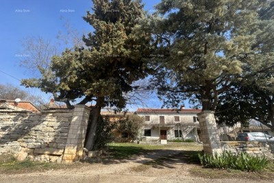 House Buje