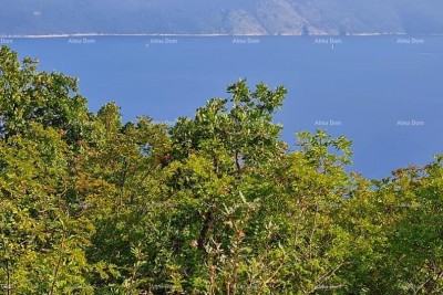 Prodaja poljoprivrednog zemljišta, blizu Labina