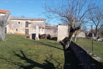 House Pazin